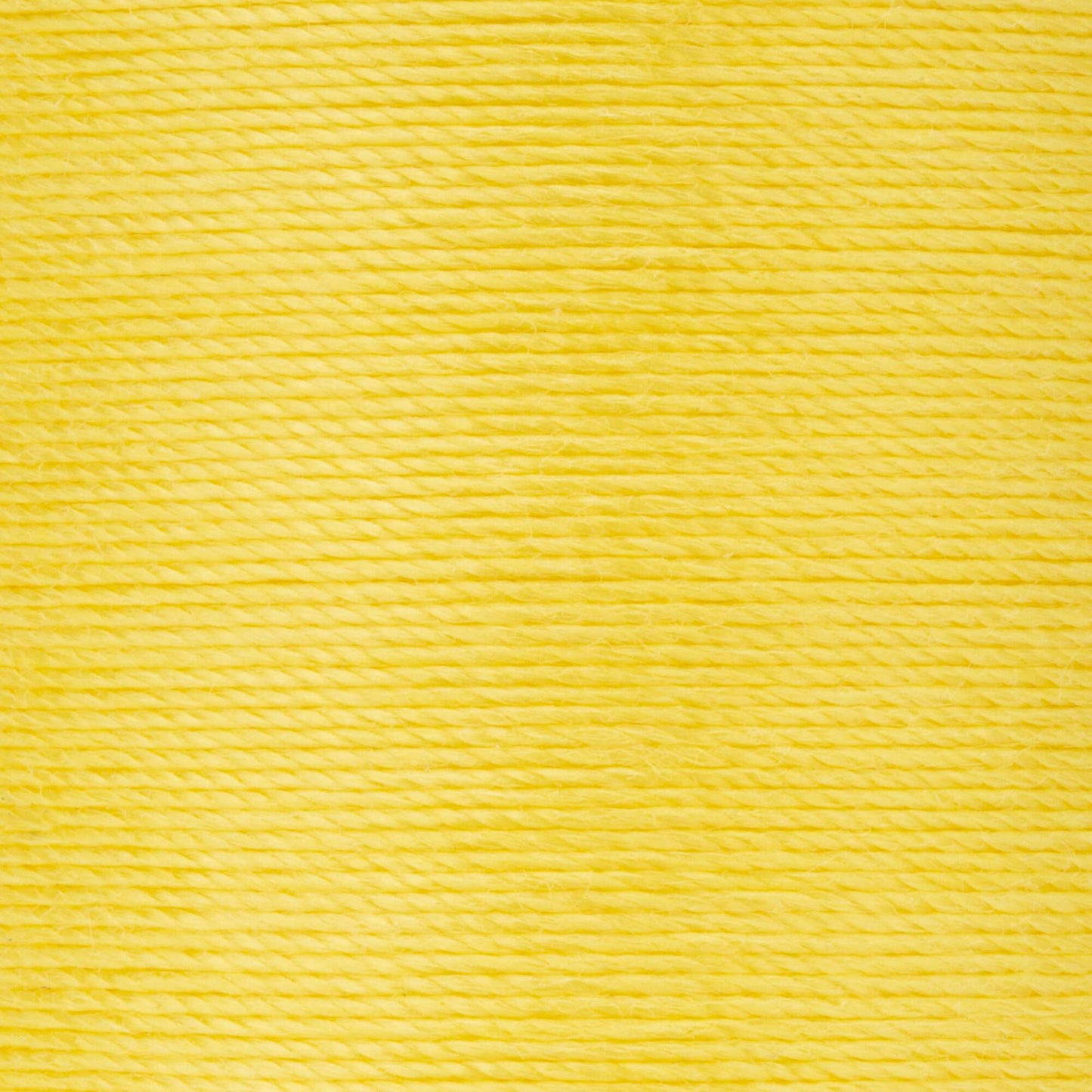 Coats & Clark Bold Hand Quilting Thread (175 Yards)