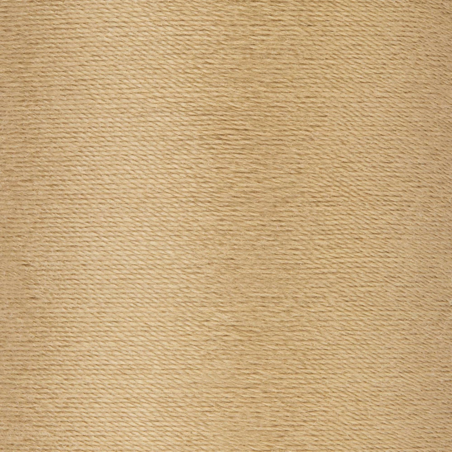 Coats & Clark Cotton Covered Quilting & Piecing Thread (250 Yards)