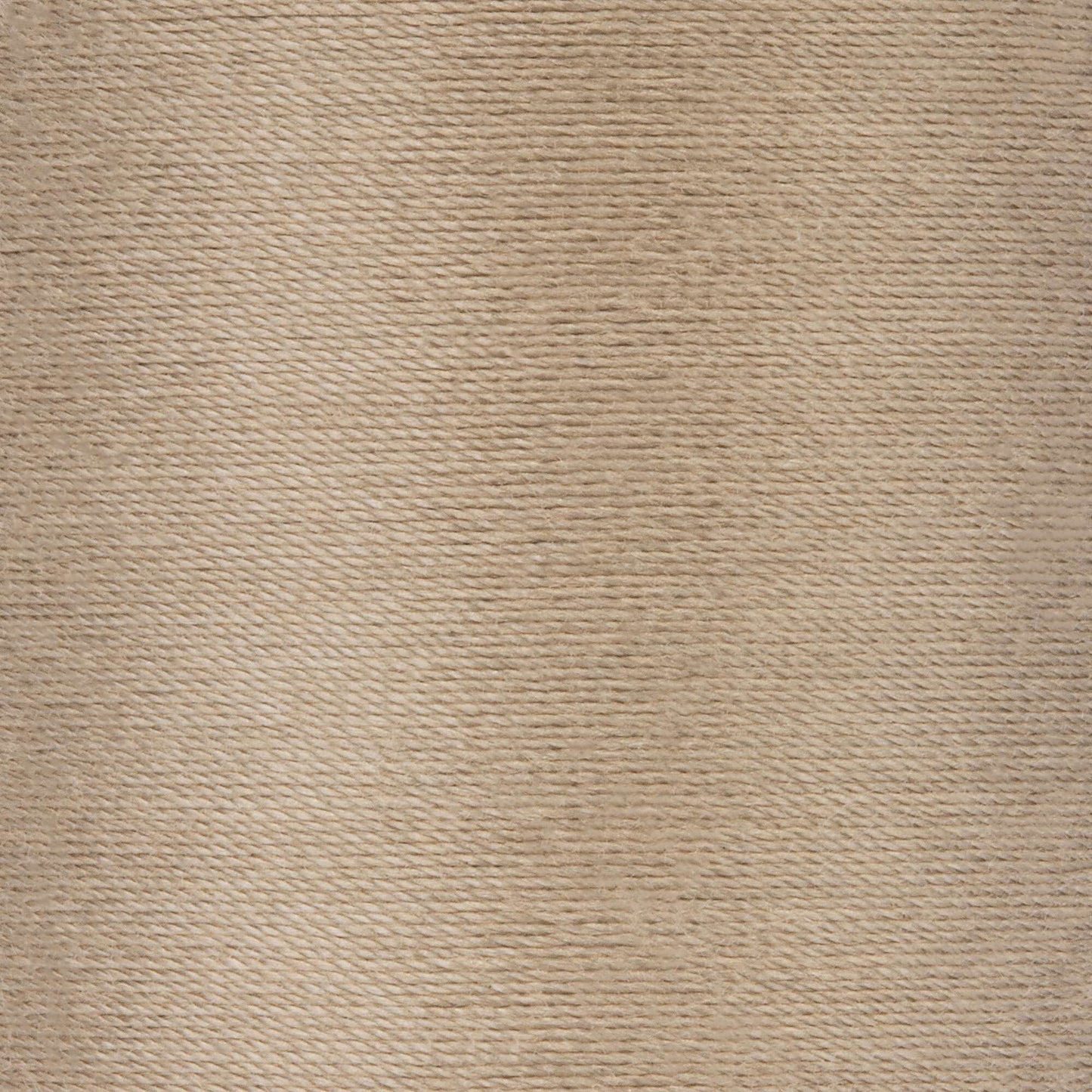 Coats & Clark Cotton Covered Quilting & Piecing Thread (250 Yards)