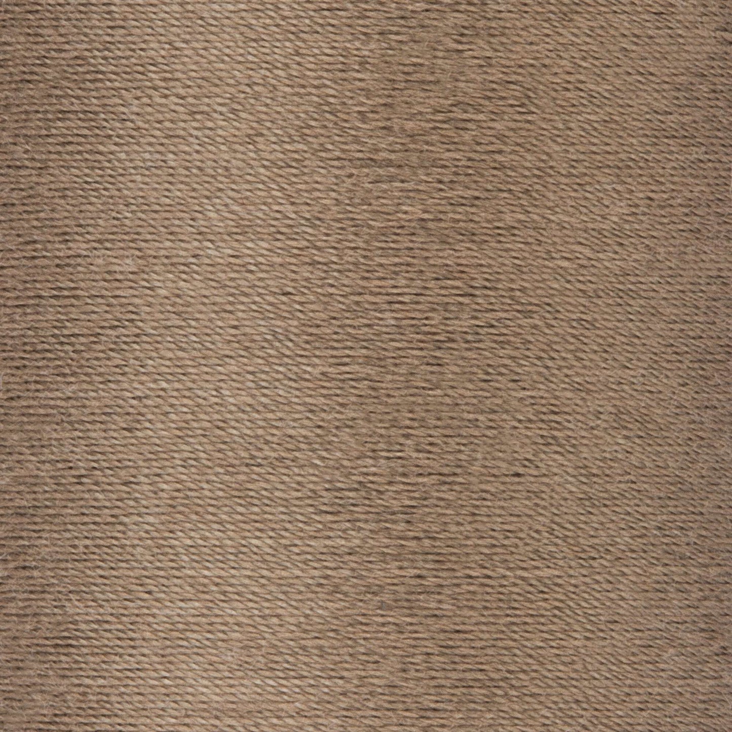 Coats & Clark Cotton Covered Quilting & Piecing Thread (250 Yards)