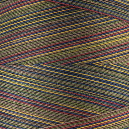 Coats & Clark Cotton Machine Quilting Multicolor Thread (1200 Yards)