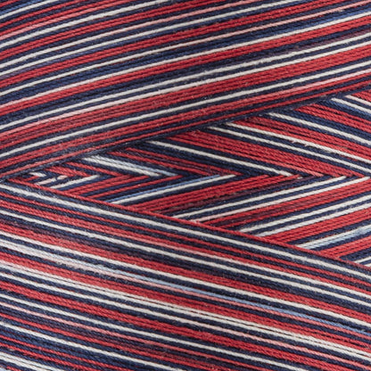 Coats & Clark Cotton Machine Quilting Multicolor Thread (1200 Yards)