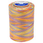 Coats & Clark Cotton Machine Quilting Multicolor Thread (1200 Yards)