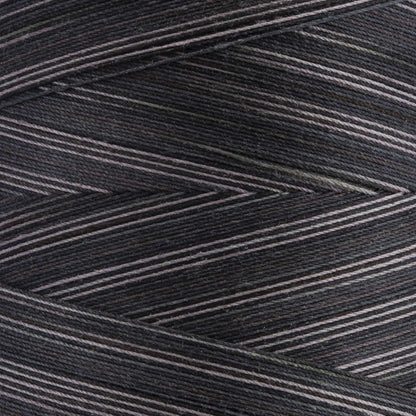Coats & Clark Cotton Machine Quilting Multicolor Thread (1200 Yards)