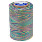 Coats & Clark Cotton Machine Quilting Multicolor Thread (1200 Yards)