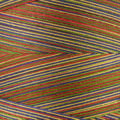 Coats & Clark Cotton Machine Quilting Multicolor Thread (1200 Yards)
