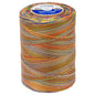 Coats & Clark Cotton Machine Quilting Multicolor Thread (1200 Yards)